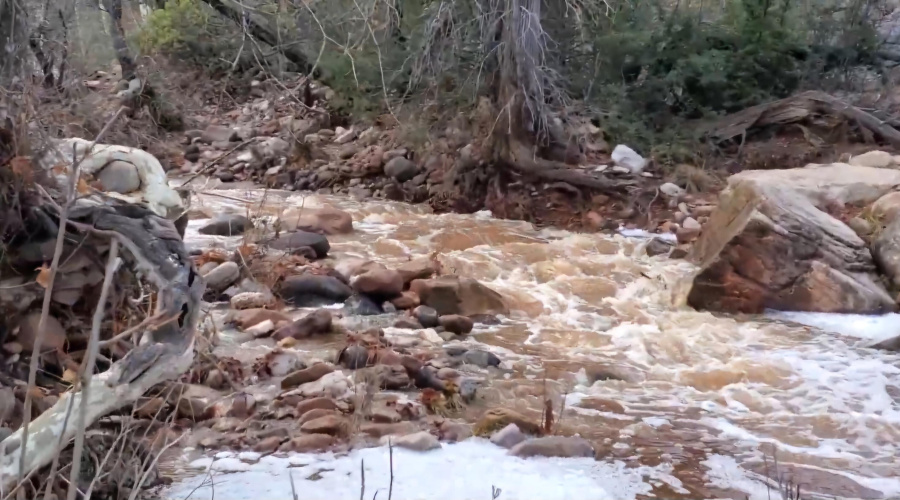 Screenshot_20250410_142224_Photos