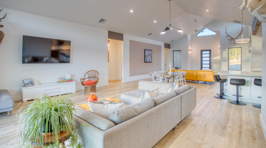 Paxmanphoto_PAX_7007