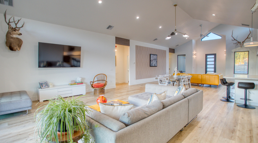 Paxmanphoto_PAX_7049