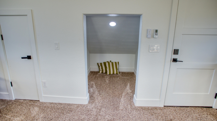 Paxmanphoto_PAX_6982