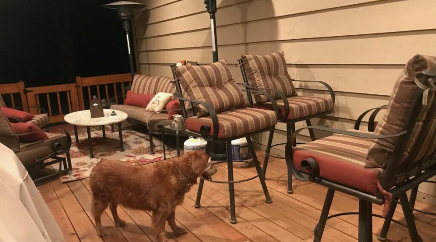 IMG_20250418_081902 (1)