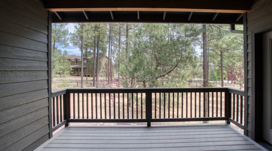 Paxmanphoto_PAX_8938