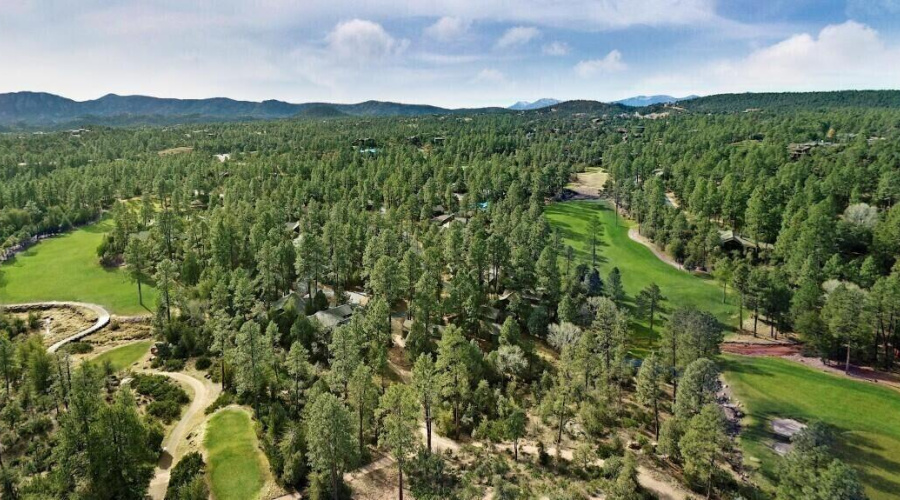 20240914133137868976000000-o