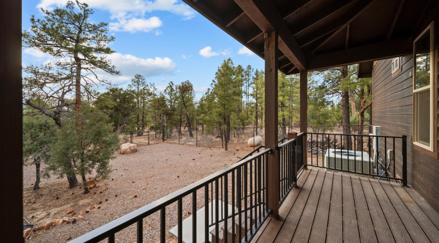 Side Porch/Fenced Dog Area