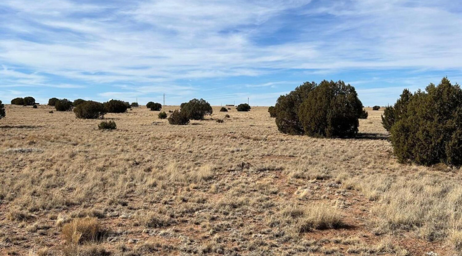 E2A92D8E-E85C-4A24-80DB-268588F603B8