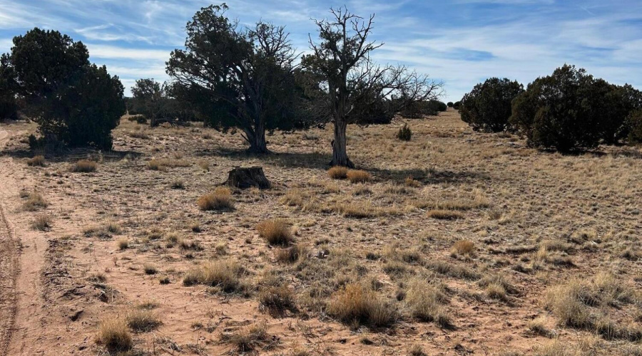 9FA25DF6-2FB5-4E1C-8826-FDB6665EAD30