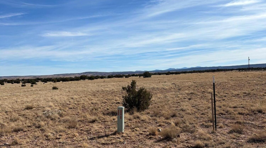 2E977B72-5210-4B39-B364-80A262A28996