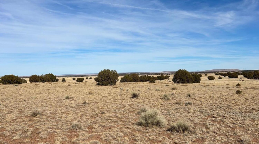 DB9D069B-5D05-4BC3-85C6-EABEEB6B89EF