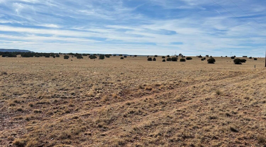 DCEB58B3-6535-4621-BECA-995206DFB7F2