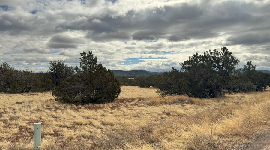 20250117_184629428_iOS