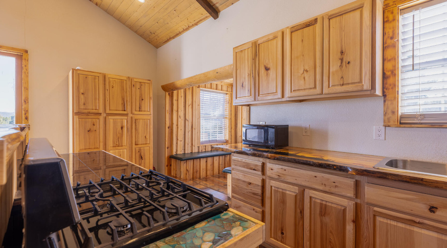 photo (11) concho jen 041025