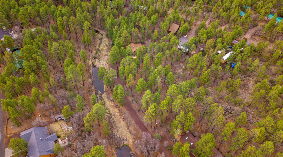 571WPineShadowDr-Pinetop-AZ-42