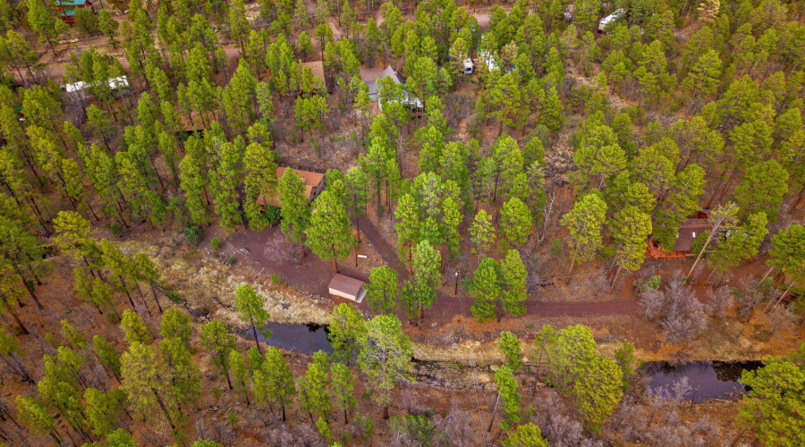 571WPineShadowDr-Pinetop-AZ-43