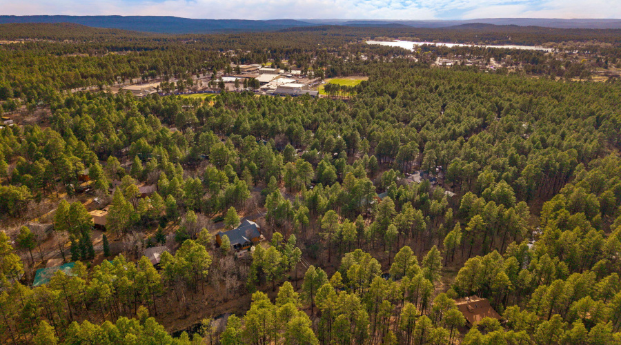 571WPineShadowDr-Pinetop-AZ-45