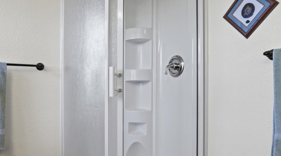 Master Bathroom Shower