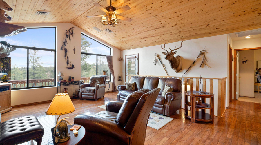 3650PineRimDr-HeberOvergaardAZ-11