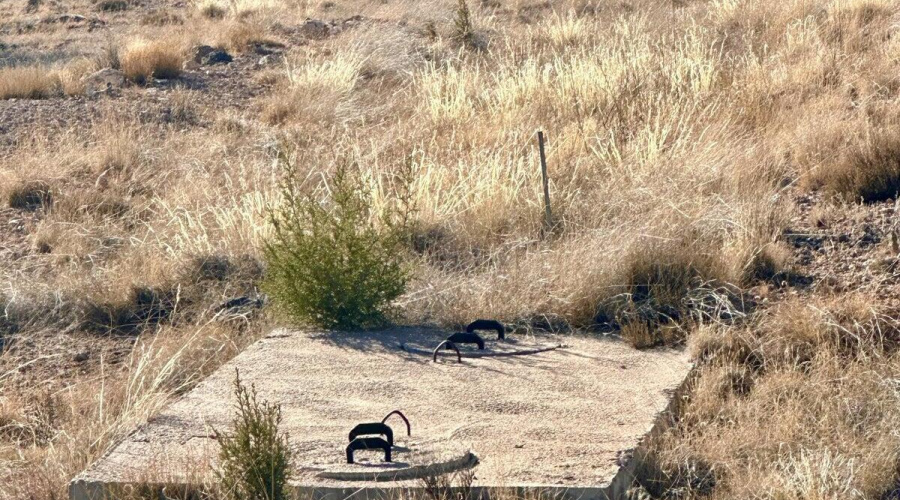 20231108193705201090000000-o