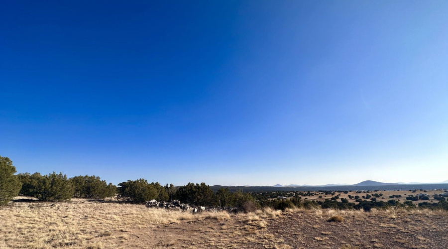 20231108193713496061000000-o-1