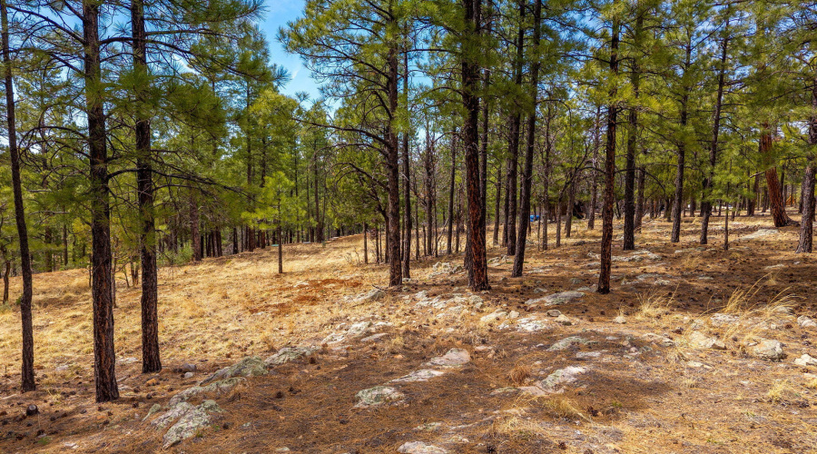 2526WellWaterRd-BlueRidgeAZ-2