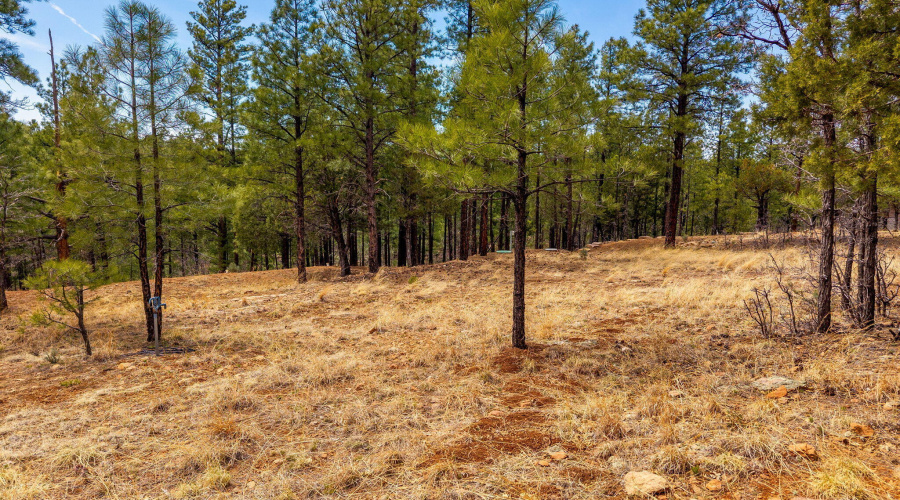 2526WellWaterRd-BlueRidgeAZ-3