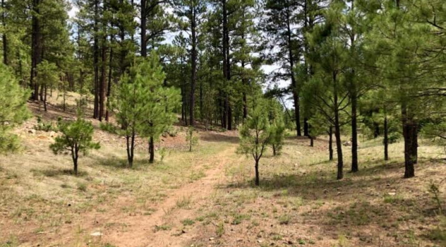 IMG_20250421_151846 (2)