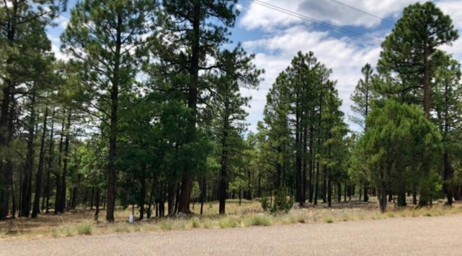 IMG_20250421_151812 (1)