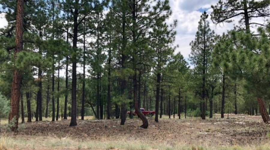 IMG_20250421_151820 (1)