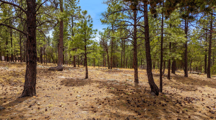 2526WellWaterRd-BlueRidgeAZ-1