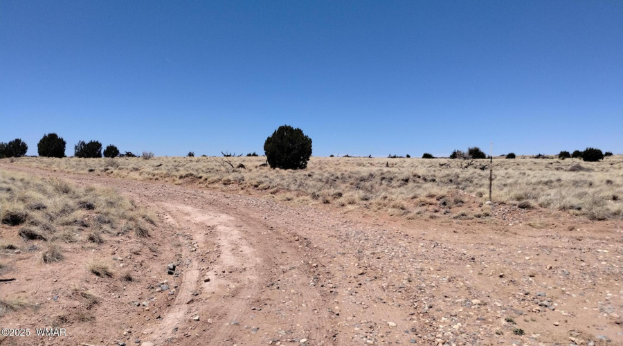 IMG_20250425_121337295