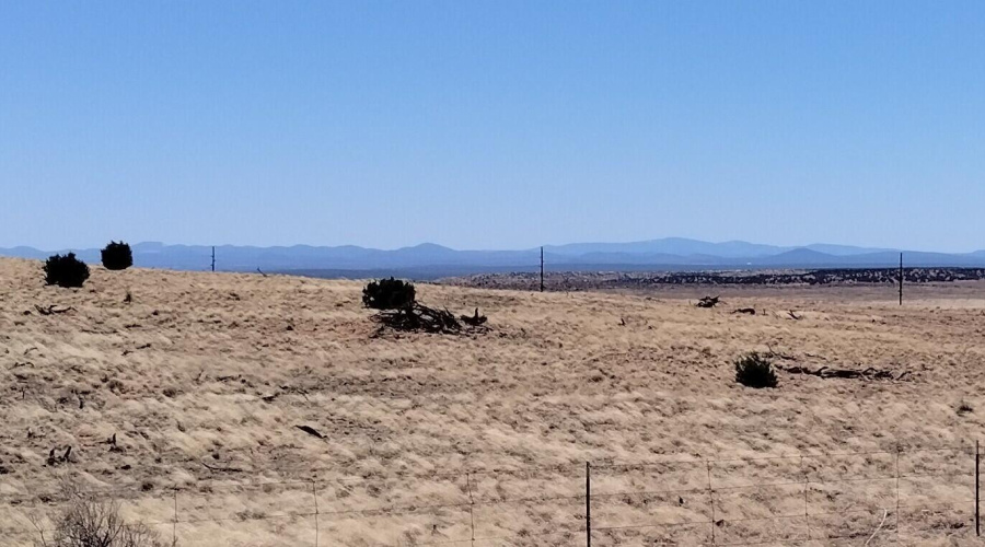 IMG_20250425_121644582~2