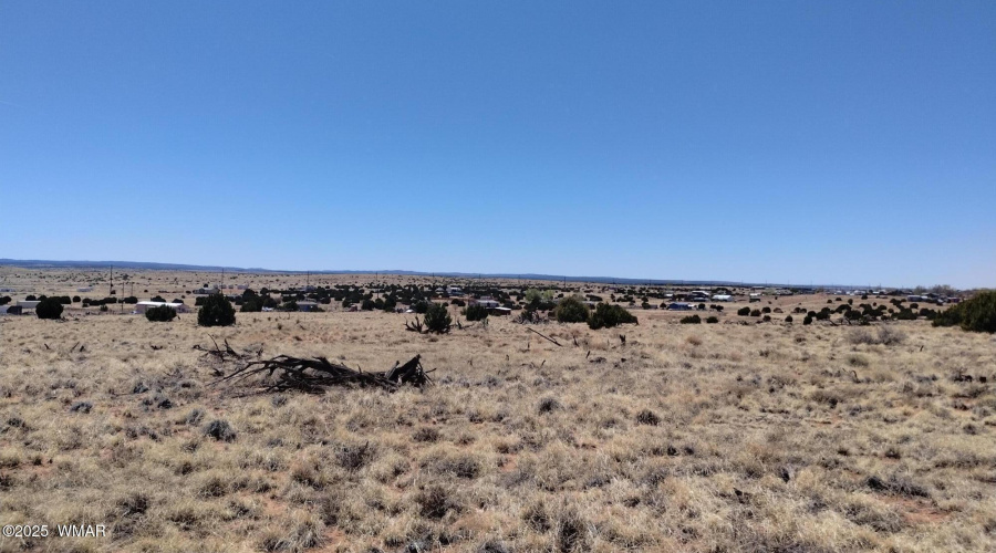 IMG_20250425_121651642