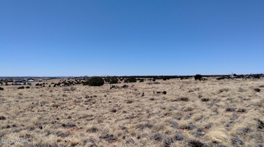 IMG_20250425_121655088