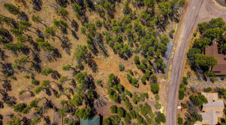 2501PineWoodLn-Pinetop-AZ-1