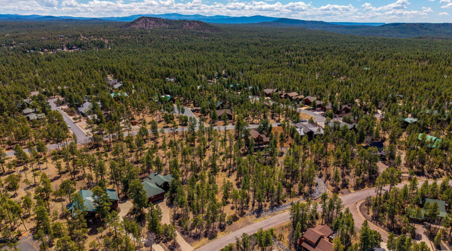 2501PineWoodLn-Pinetop-AZ-2