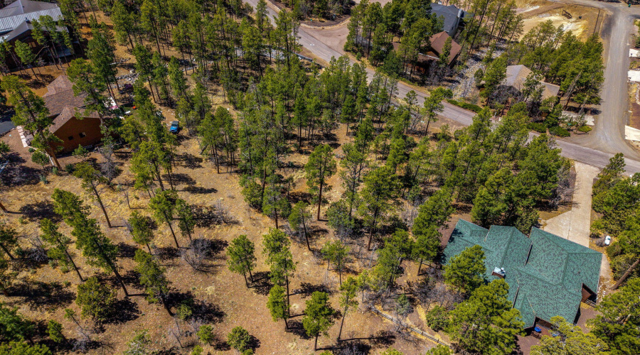 2501PineWoodLn-Pinetop-AZ-7