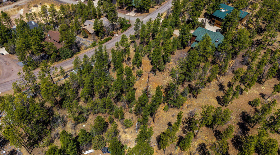 2501PineWoodLn-Pinetop-AZ-8