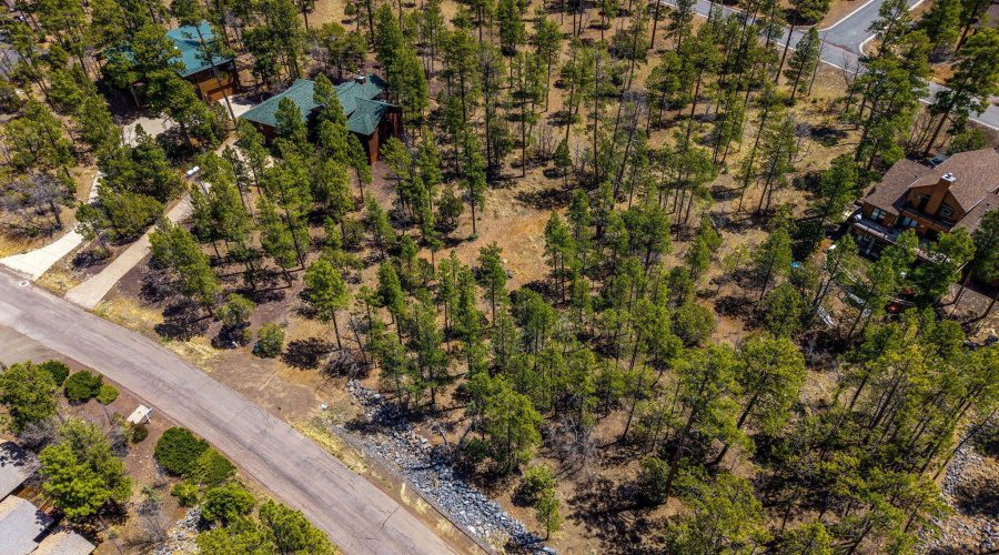 2501PineWoodLn-Pinetop-AZ-9