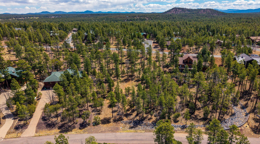 2501PineWoodLn-Pinetop-AZ-10