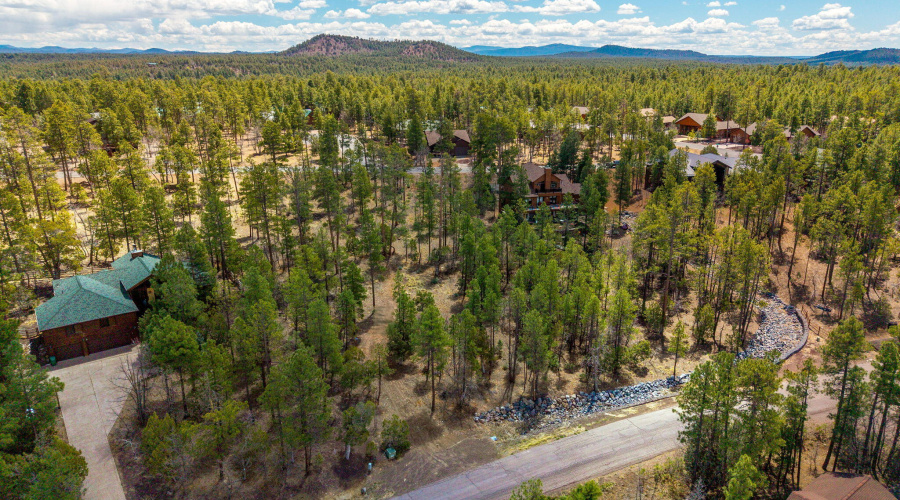 2501PineWoodLn-Pinetop-AZ-11