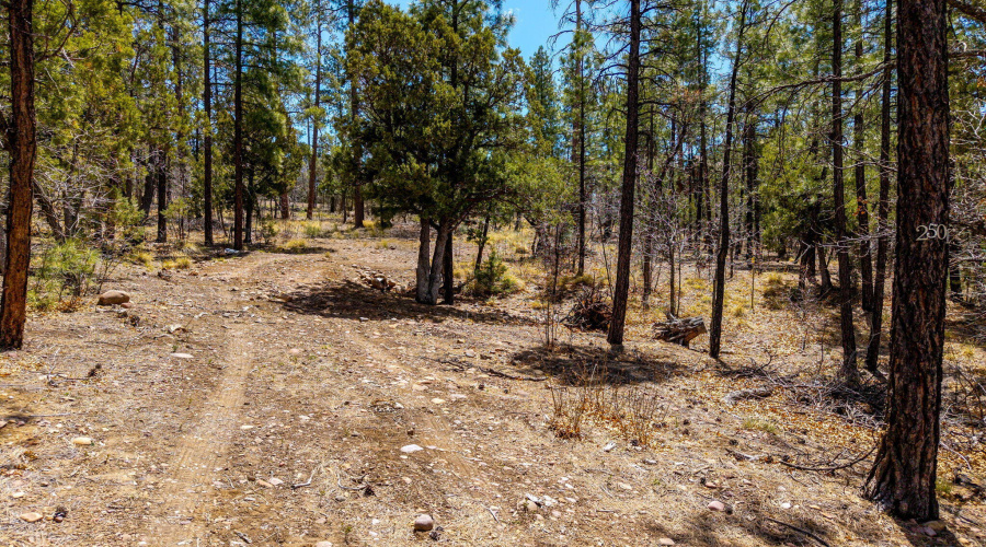 2501PineWoodLn-Pinetop-AZ-12