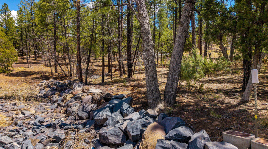 2501PineWoodLn-Pinetop-AZ-13