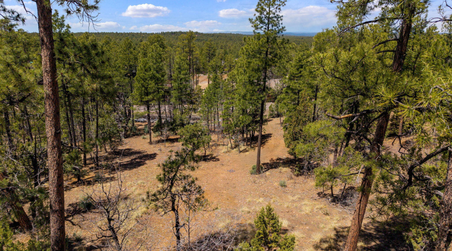 2501PineWoodLn-Pinetop-AZ-14