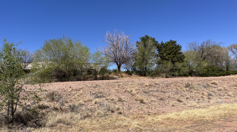 iijc3c4YTwiMUm6Ku5XnZg