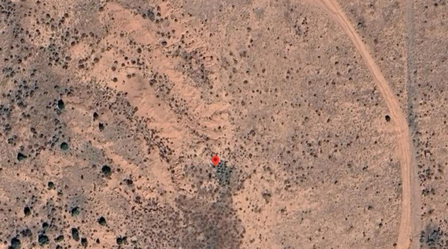 Screenshot 2025-04-24 130731