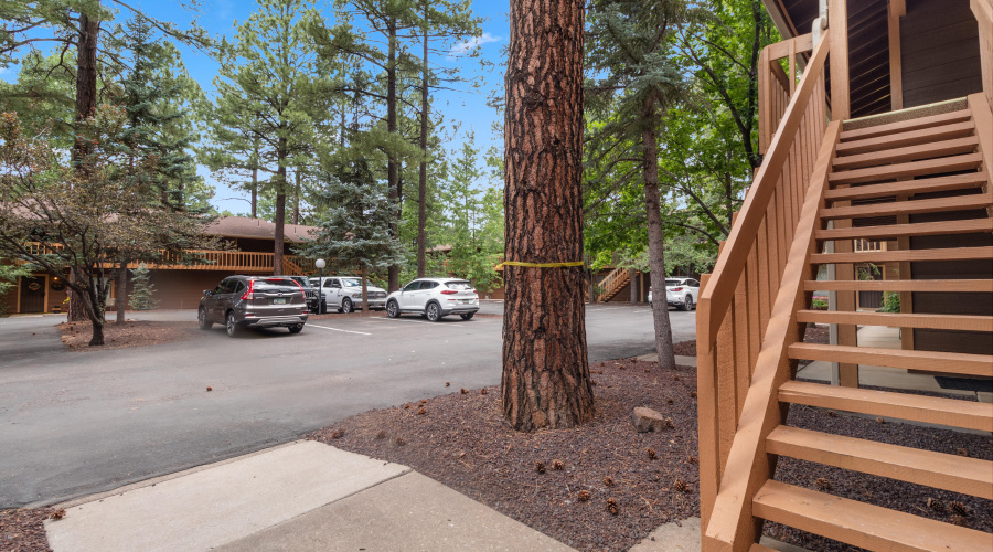 2601 Thunderbolt Circle #14A Pinetop (34