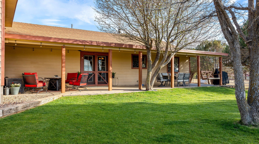 Luscious grassy yard