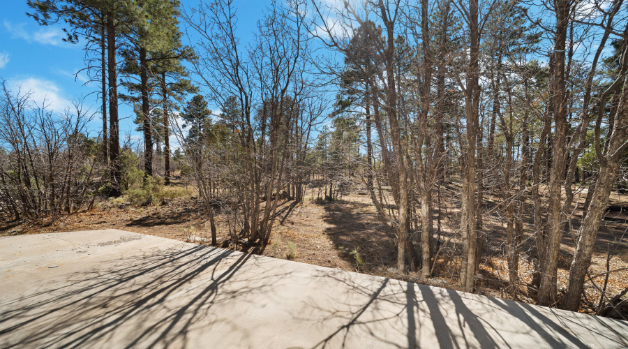 twinflamerealestatemedia-10_(2000)