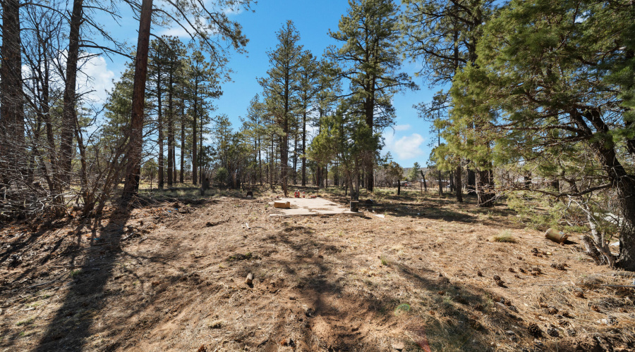 twinflamerealestatemedia-13_(2000)