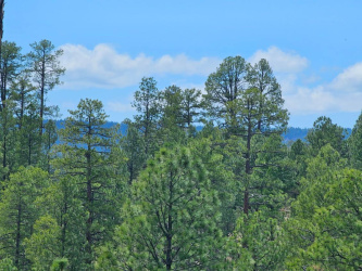 830 Elk Ridge Drive, Happy Jack, Arizona 86024, ,Land,For Sale,Elk Ridge,92126