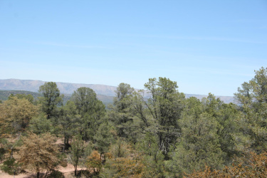 409 Rim Club Drive, Payson, Arizona 85541, ,Land,For Sale,Rim Club,92151